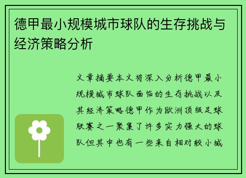 德甲最小规模城市球队的生存挑战与经济策略分析